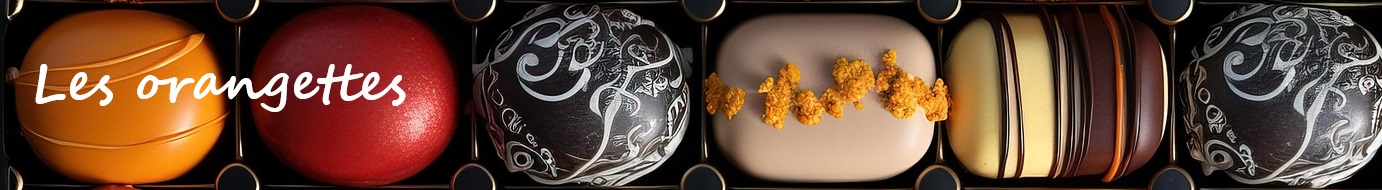 https://choco.likishop.fr/images/choco/orangettes/lesorangettes.jpg